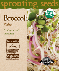 Broccoli Calabrese - Item #4370