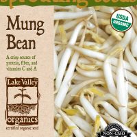 Mung Bean - Item #4371