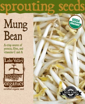 Mung Bean - Item #4371