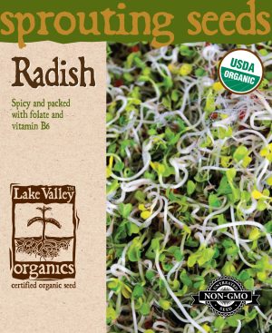 Radish - Item #4372