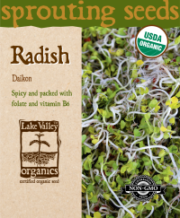 Radish Daikon - Item #4372