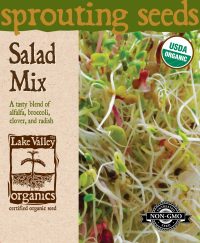 Salad Mix (Alfalfa, Broccoli, Clover, Radish) - Item #4374