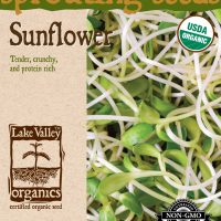 Sunflower - Item #4377