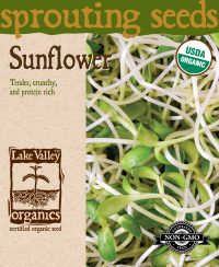 Sunflower - Item #4377