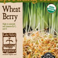 Wheat Berries - Item #4379
