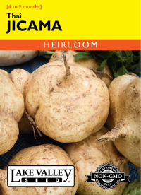 Jicama Thai - Item #4398