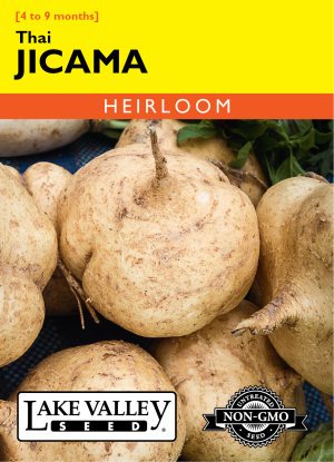 Jicama Thai - Item #4398
