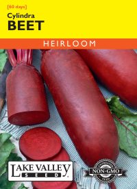 Beet Cylindra - Item #44