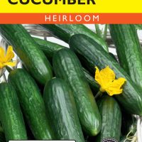 Cucumber Tendergreen Burpless