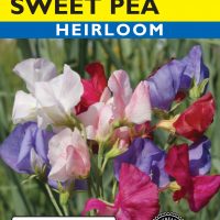 Sweet Pea Mammoth