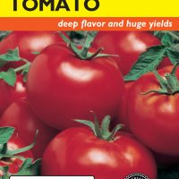Tomato (Bush) Celebration