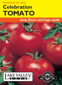 Tomato (Bush) Celebration