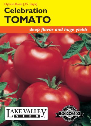 Tomato (Bush) Celebration