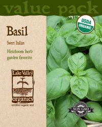 Basil Sweet Italian