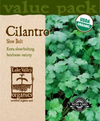 Cilantro Slow Bolt - Item #4443