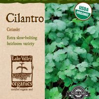 Cilantro (Coriander) - Item #4443