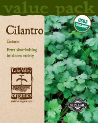 Cilantro (Coriander) - Item #4443
