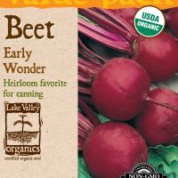 Beet Early Wonder