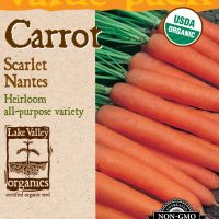 Carrot Scarlet Nantes