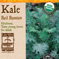 Kale Red Russian