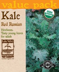 Kale Red Russian