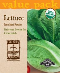 Lettuce Romaine Parris Island