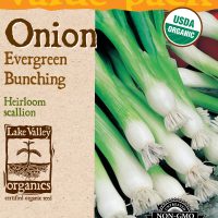 Onion Evergreen Bunching