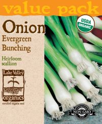 Onion Evergreen Bunching