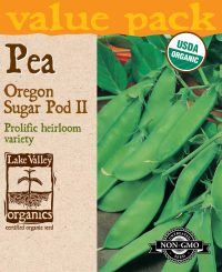 Pea Oregon Sugar Pod II (Bush)