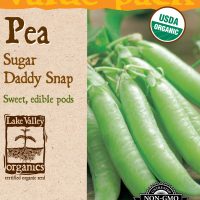 Pea Sugar Daddy Snap (Pole)