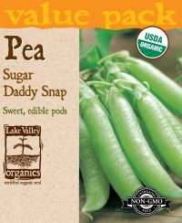 Pea Sugar Daddy Snap (Pole)