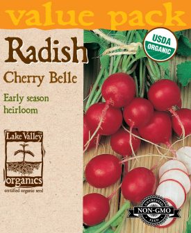 Radish Cherry Belle