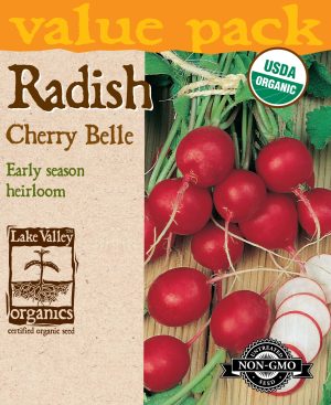 Radish Cherry Belle