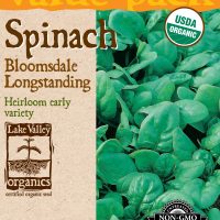 Spinach Bloomsdale Longstanding