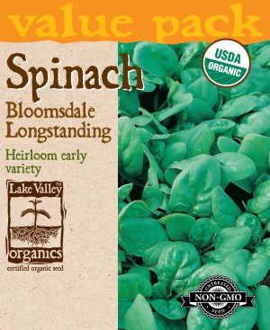 Spinach Bloomsdale Longstanding