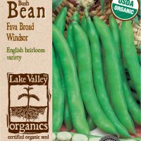 Bean Fava Broad Windsor