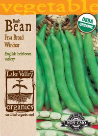 Bean Fava Broad Windsor