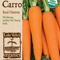Carrot Royal Chantenay