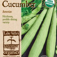Cucumber Armenian - Item #4478