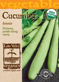 Cucumber Armenian - Item #4478
