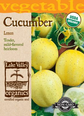 Cucumber Lemon - Item #4479