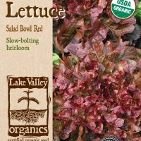 Lettuce Salad Bowl Red