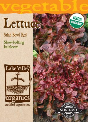 Lettuce Salad Bowl Red