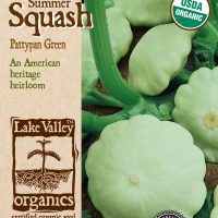 Squash (Summer) Pattypan Green