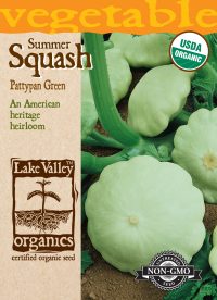 Squash (Summer) Pattypan Green