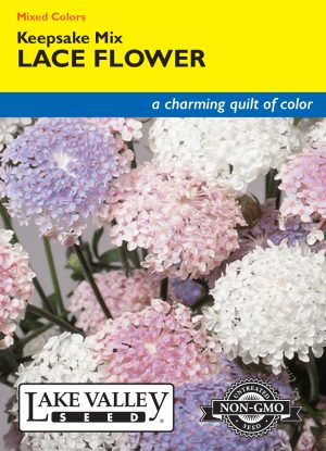 Lace Flower Keepsake Mixed Colors