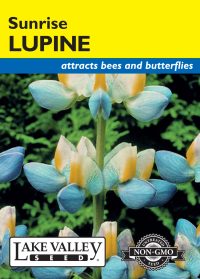 Lupine Sunrise - Item #4492