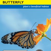 Monarch Butterfly Garden Mix