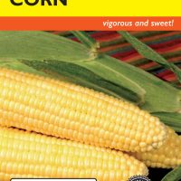 Corn Sweet Bodacious Hybrid