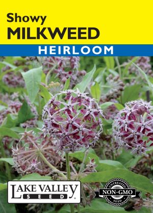 Milkweed Showy (Western Native)